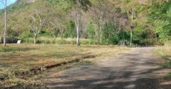 ขายที่ดินเขาใหญ่ หมูสี 1 ไร่ อยู่บนถนนธนะรัชต์ ใกล้ทางขึ้นอุทยานแห่งชาติเขาใหญ่ ใกล้สามแยกกุดคล้า วิวเขาสวยมาก ต้นไม้เยอะ ทำเลดีมาก ใกล้ร้านค้าตลาดนัด ไปแม็คโคร ตัวเมืองปากช่องสะดวก 087-9074045