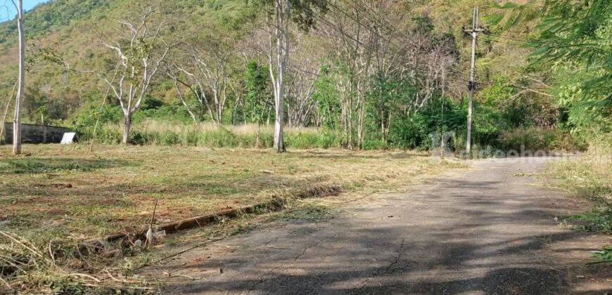 ขายที่ดินเขาใหญ่ หมูสี 1 ไร่ อยู่บนถนนธนะรัชต์ ใกล้ทางขึ้นอุทยานแห่งชาติเขาใหญ่ ใกล้สามแยกกุดคล้า วิวเขาสวยมาก ต้นไม้เยอะ ทำเลดีมาก ใกล้ร้านค้าตลาดนัด ไปแม็คโคร ตัวเมืองปากช่องสะดวก 087-9074045