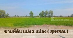 ขายที่ดิน เเบ่งเเปลงขาย ใกล้ตัวเมืองสุพรรณ น้ำไฟ พร้อม