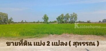 ขายที่ดิน เเบ่งเเปลงขาย ใกล้ตัวเมืองสุพรรณ น้ำไฟ พร้อม