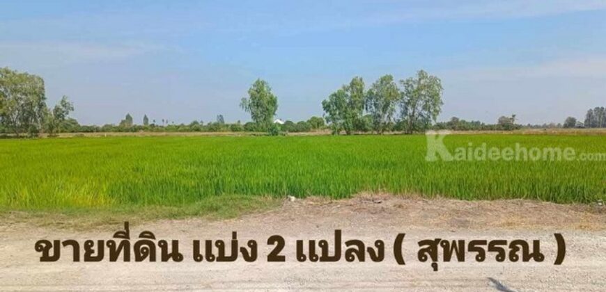 ขายที่ดิน เเบ่งเเปลงขาย ใกล้ตัวเมืองสุพรรณ น้ำไฟ พร้อม