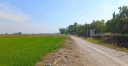 ขายที่ดิน เเบ่งเเปลงขาย ใกล้ตัวเมืองสุพรรณ น้ำไฟ พร้อม