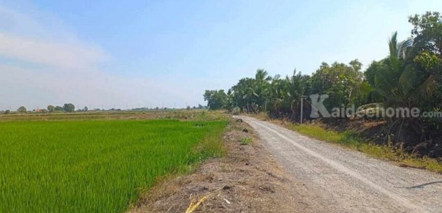 ขายที่ดิน เเบ่งเเปลงขาย ใกล้ตัวเมืองสุพรรณ น้ำไฟ พร้อม