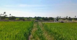 ขายที่ดิน เเบ่งเเปลงขาย ใกล้ตัวเมืองสุพรรณ น้ำไฟ พร้อม