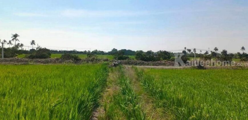 ขายที่ดิน เเบ่งเเปลงขาย ใกล้ตัวเมืองสุพรรณ น้ำไฟ พร้อม