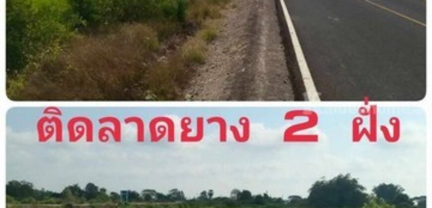 ขายที่ดินเปล่า หรือแบ่งแปลงขาย หน้าติดลาดยาง ติดคลอง ใกล้มหาลัยสวนดุสิตสุพรรณบุรี