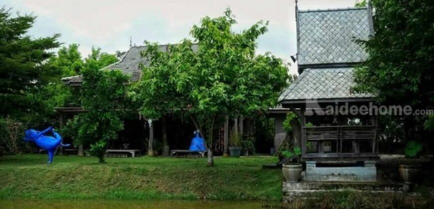 ขายที่ดิน 2-1-0 ไร่ บ้านธิ ลำพูน ใกล้สนามบินใหม่ เหมาะทำรีสอร์ต-เวิร์กช็อป-คาเฟ่ วิวพาโนรามา เพียง 13 ล้าน