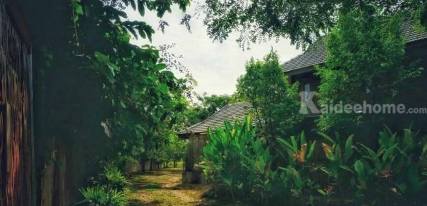 ขายที่ดิน 2-1-0 ไร่ บ้านธิ ลำพูน ใกล้สนามบินใหม่ เหมาะทำรีสอร์ต-เวิร์กช็อป-คาเฟ่ วิวพาโนรามา เพียง 13 ล้าน