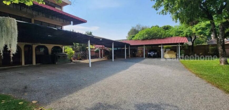 ขายที่ดิน 2-1-0 ไร่ บ้านธิ ลำพูน ใกล้สนามบินใหม่ เหมาะทำรีสอร์ต-เวิร์กช็อป-คาเฟ่ วิวพาโนรามา เพียง 13 ล้าน