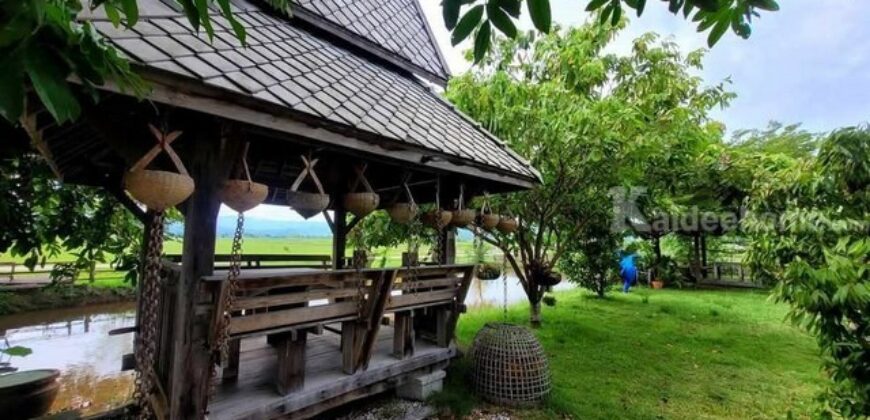 ขายที่ดิน 2-1-0 ไร่ บ้านธิ ลำพูน ใกล้สนามบินใหม่ เหมาะทำรีสอร์ต-เวิร์กช็อป-คาเฟ่ วิวพาโนรามา เพียง 13 ล้าน