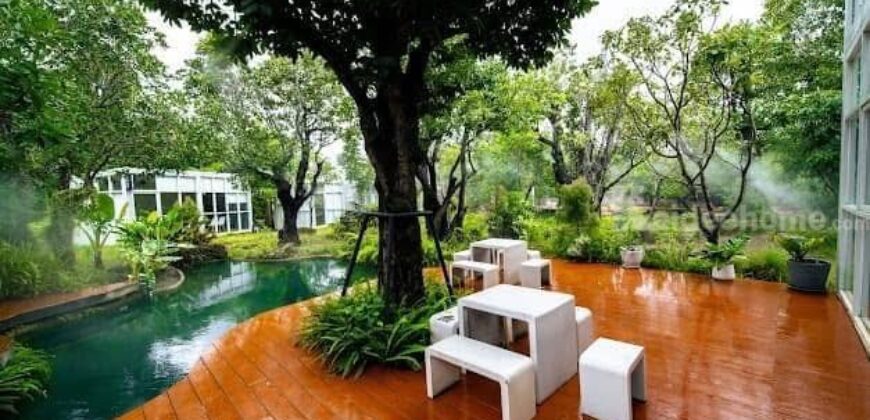 ส่งต่อกิจการคาเฟ่สุดฮิป บรรยากาศเรียบหรู ฟีลธรรมชาติ บ่อวิน ชลบุรี พร้อมดำเนินการกิจการต่อได้เลย