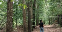 ขายที่ดิน 103 ไร่ บ่อพลอย ตราด ราคาถูกมาก! เหมาะทำเกษตร รีสอร์ต โฉนดพร้อมโอน