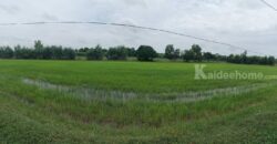 ขายที่นา 33 ไร่ บ้านส้มโฮง สุวรรณภูมิ ร้อยเอ็ด ไร่ละ 180,000 ถูกมาก! เอกสารพร้อมโอน