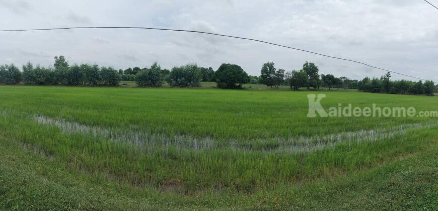 ขายที่นา 33 ไร่ บ้านส้มโฮง สุวรรณภูมิ ร้อยเอ็ด ไร่ละ 180,000 ถูกมาก! เอกสารพร้อมโอน