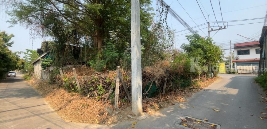 ขายที่ดิน 207 ตรว. ติดถนนสันเหมืองเหนือ ต.เหมืองง่า ลำพูน ราคาถูกสุด ๆ