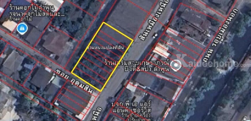 ขายที่ดิน 207 ตรว. ติดถนนสันเหมืองเหนือ ต.เหมืองง่า ลำพูน ราคาถูกสุด ๆ