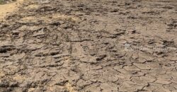 ขายที่ดินถมแล้ว 90 ตารางวา ราคาถูกสุดๆ