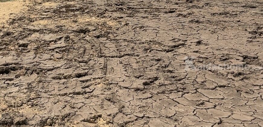 ขายที่ดินถมแล้ว 90 ตารางวา ราคาถูกสุดๆ