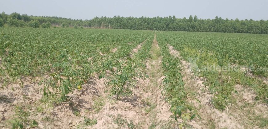 เจ้าของขายเองที่ดินโฉนดครุฑแดง ตำบลวังตะเคียน กบินทร์บุรี แบ่งขายได้