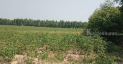 เจ้าของขายเองที่ดินโฉนดครุฑแดง ตำบลวังตะเคียน กบินทร์บุรี แบ่งขายได้