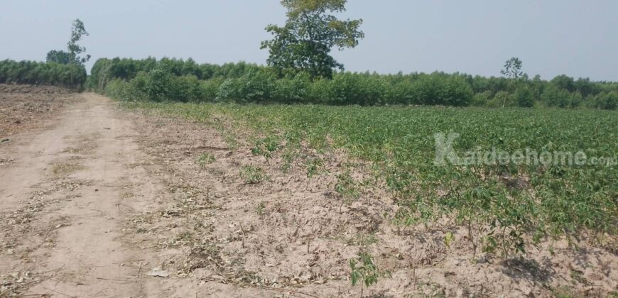 เจ้าของขายเองที่ดินโฉนดครุฑแดง ตำบลวังตะเคียน กบินทร์บุรี แบ่งขายได้