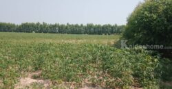 เจ้าของขายเองที่ดินโฉนดครุฑแดง ตำบลวังตะเคียน กบินทร์บุรี แบ่งขายได้