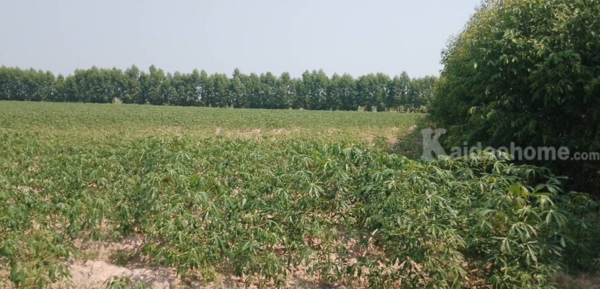เจ้าของขายเองที่ดินโฉนดครุฑแดง ตำบลวังตะเคียน กบินทร์บุรี แบ่งขายได้