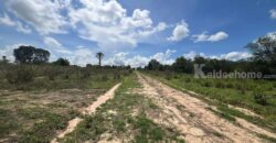 ขายที่ดินม่วงลาย ซอย11 นิคมพัฒนา ระยอง 20-2-25.6 ไร่