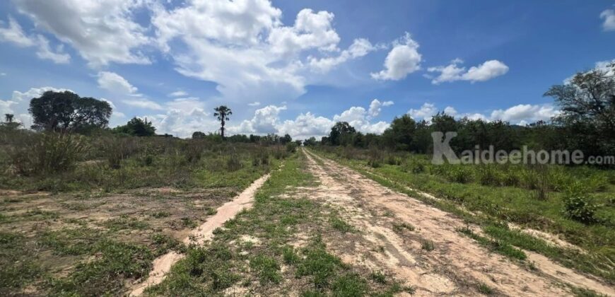 ขายที่ดินม่วงลาย ซอย11 นิคมพัฒนา ระยอง 20-2-25.6 ไร่