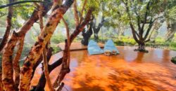 ส่งต่อกิจการคาเฟ่สุดฮิป บรรยากาศเรียบหรู ฟีลธรรมชาติ บ่อวิน ชลบุรี พร้อมดำเนินการกิจการต่อได้เลย