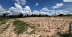 ขายที่ดินม่วงลาย ซอย11 นิคมพัฒนา ระยอง 20-2-25.6 ไร่