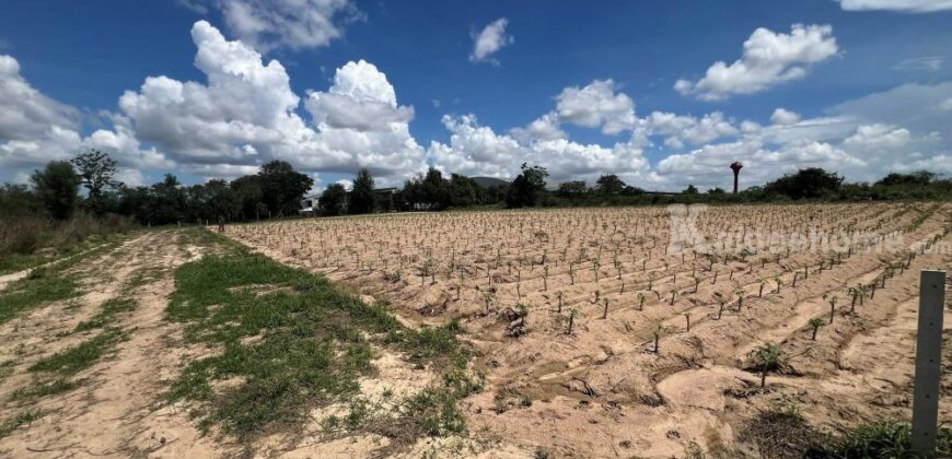 ขายที่ดินม่วงลาย ซอย11 นิคมพัฒนา ระยอง 20-2-25.6 ไร่