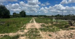 ขายที่ดินม่วงลาย ซอย11 นิคมพัฒนา ระยอง 20-2-25.6 ไร่