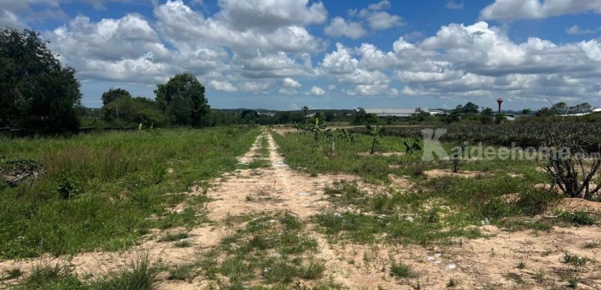 ขายที่ดินม่วงลาย ซอย11 นิคมพัฒนา ระยอง 20-2-25.6 ไร่