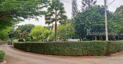 ขายบ้านเขาใหญ่ หมูสี ปากช่อง บ้านพักตากอากาศเขาใหญ่ พาโนวิลล์ ที่ดิน 303 ตร.ว บ้านใหม่พร้อมอยู่ สวยมาก พร้อมสวนต้นไม้ใหญ่ร่มรื่น ใกล้ถนนธนะรัชต์ ท่าช้าง ในโครงการปลอดภัย มี รปภ. ดูแล 087-9074045