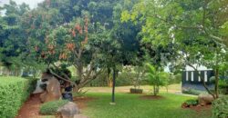 ขายบ้านเขาใหญ่ หมูสี ปากช่อง บ้านพักตากอากาศเขาใหญ่ พาโนวิลล์ ที่ดิน 303 ตร.ว บ้านใหม่พร้อมอยู่ สวยมาก พร้อมสวนต้นไม้ใหญ่ร่มรื่น ใกล้ถนนธนะรัชต์ ท่าช้าง ในโครงการปลอดภัย มี รปภ. ดูแล 087-9074045