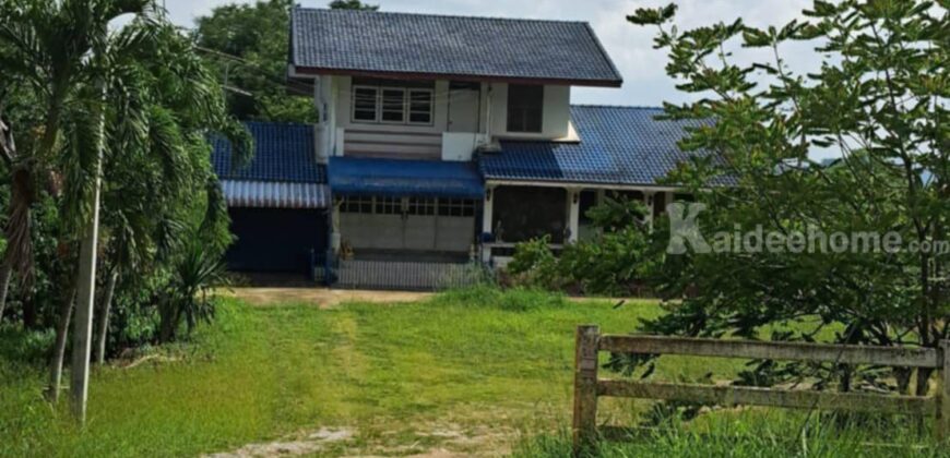 ที่ดินปากช่องพร้อมบ้าน 2.5 ไร่ ในตัวเมืองปากช่อง ถนนเทศบาล 5 หลังโรงพยาบาลปากช่อง ทางไปบ้านไร่ทอสี โรงเรียนปัญญาประทีป ทำเลดีทำกิจการร้านอาหารค้าขายได้ ใกล้ตลาด ติดถนนลาดยาง 087-9074045