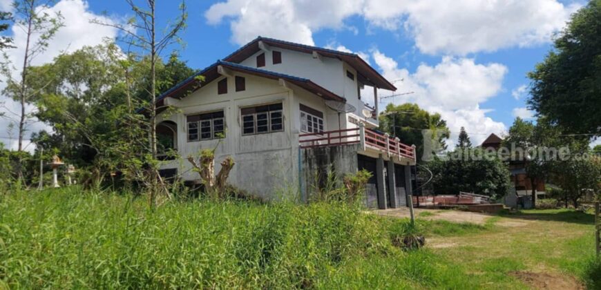ที่ดินปากช่องพร้อมบ้าน 2.5 ไร่ ในตัวเมืองปากช่อง ถนนเทศบาล 5 หลังโรงพยาบาลปากช่อง ทางไปบ้านไร่ทอสี โรงเรียนปัญญาประทีป ทำเลดีทำกิจการร้านอาหารค้าขายได้ ใกล้ตลาด ติดถนนลาดยาง 087-9074045