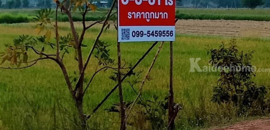 ขายที่ดินทำเลดี ร้อยเอ็ด