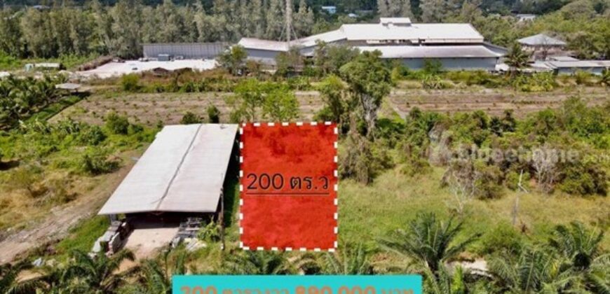 ลดราคาที่ดินคลอง12-หนองเสือ-ถมแล้วน้ำไฟพร้อม -T.062-1574449