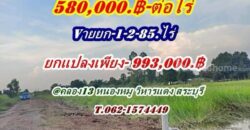 ที่ดินถูกมากใกล้ชุมชนมีเพื่อนบ้านที่คลอง13-หนองหมู-สระบุรี.T.062-1574449