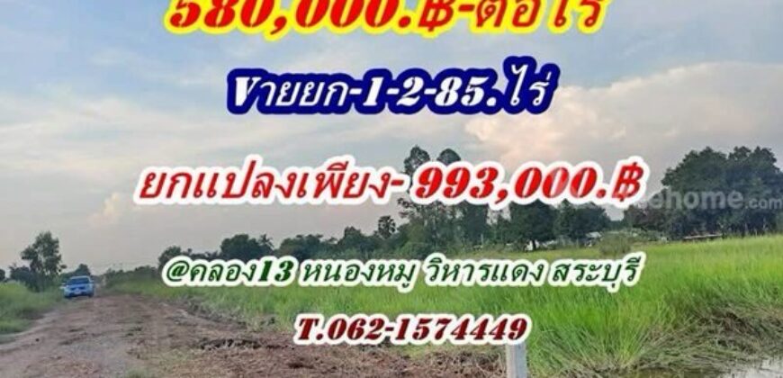 ที่ดินถูกมากใกล้ชุมชนมีเพื่อนบ้านที่คลอง13-หนองหมู-สระบุรี.T.062-1574449