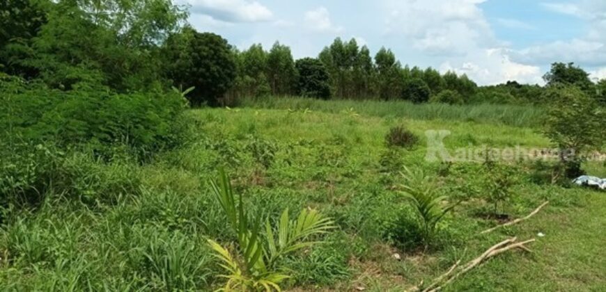 ขายที่ดิน 8 ไร่ ต.เขาหินซ้อน อ.พนมสารคาม จ.ฉะเชิงเทรา โทร 0863683798