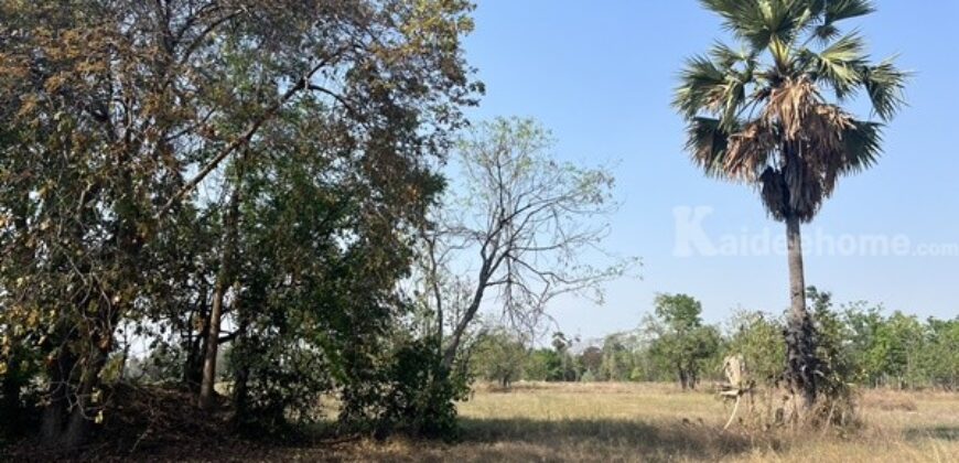 ขายที่ดิน ห่างเมืองเก่าสุโขทัย 10 กิโลเมตร เป็นที่นา มีบ่อน้ำ อำเภอคีรีมาศ โทร 0917796341