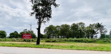 ขายที่ดิน อำเภอภูเรือ จังหวัดเลย 21 ไร่ 3 งาน 15 ตร.ว. ติดถนนทางหลวงหมายเลข 21 โทร 094-9154199