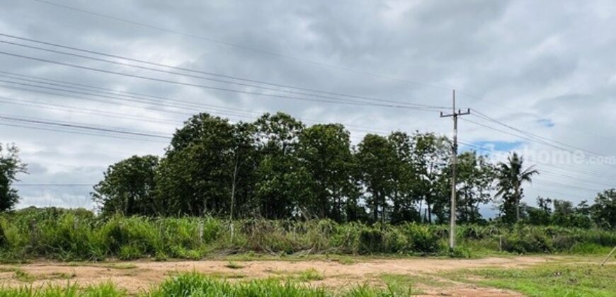 ขายที่ดิน อำเภอภูเรือ จังหวัดเลย 21 ไร่ 3 งาน 15 ตร.ว. ติดถนนทางหลวงหมายเลข 21 โทร 094-9154199