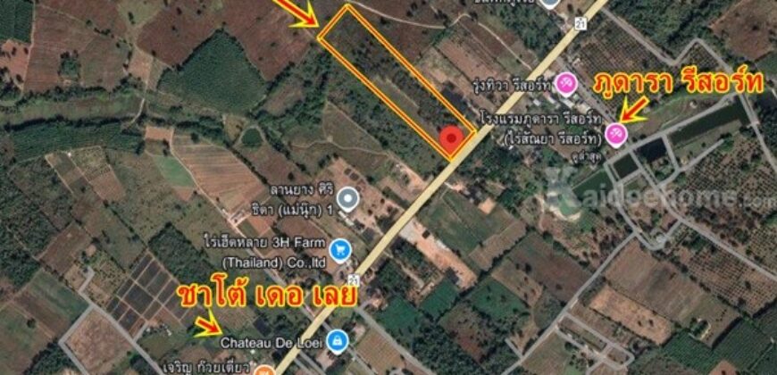 ขายที่ดิน อำเภอภูเรือ จังหวัดเลย 21 ไร่ 3 งาน 15 ตร.ว. ติดถนนทางหลวงหมายเลข 21 โทร 094-9154199