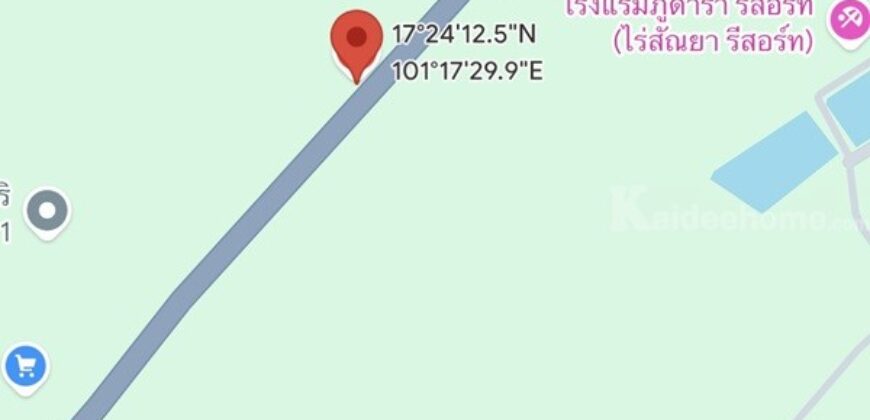 ขายที่ดิน อำเภอภูเรือ จังหวัดเลย 21 ไร่ 3 งาน 15 ตร.ว. ติดถนนทางหลวงหมายเลข 21 โทร 094-9154199