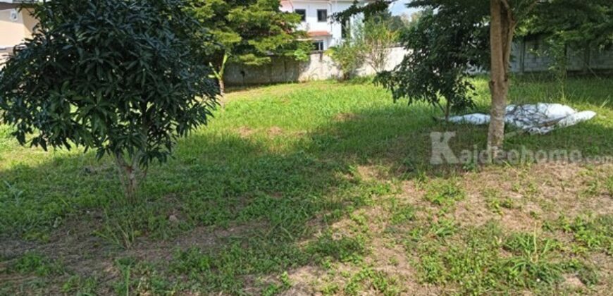 ขายที่ดิน อำเภอเมืองพะเยา 1 ไร่ โฉนด พร้อมโอน โทร 0817830178