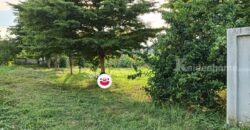 ขายที่ดิน อ.เมืองพะเยา ต.บ้านต๋อม 1 ไร่ โฉนด พร้อมโอน โทร 0817830178